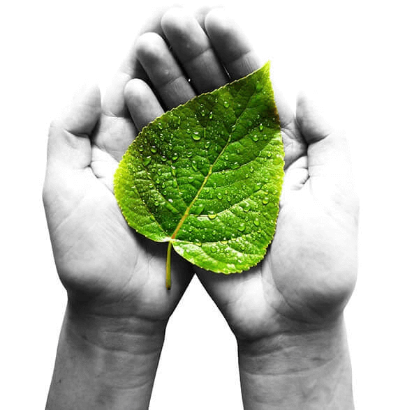 leaf hand